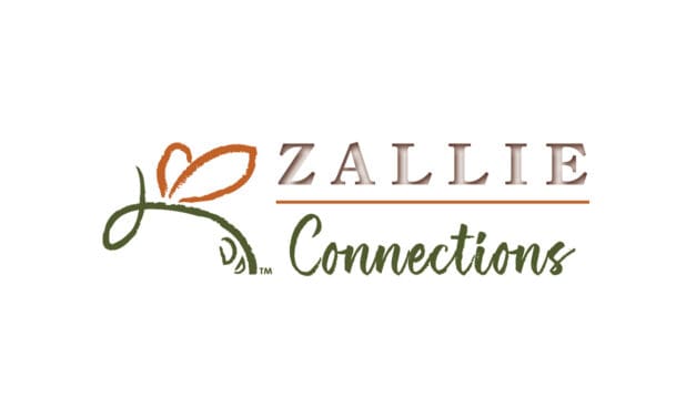 ZFM Promotions